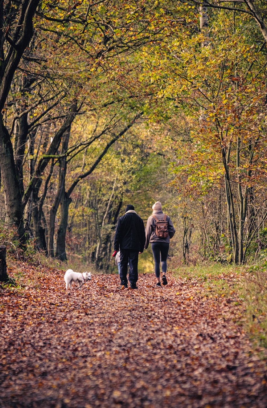Nature Trail